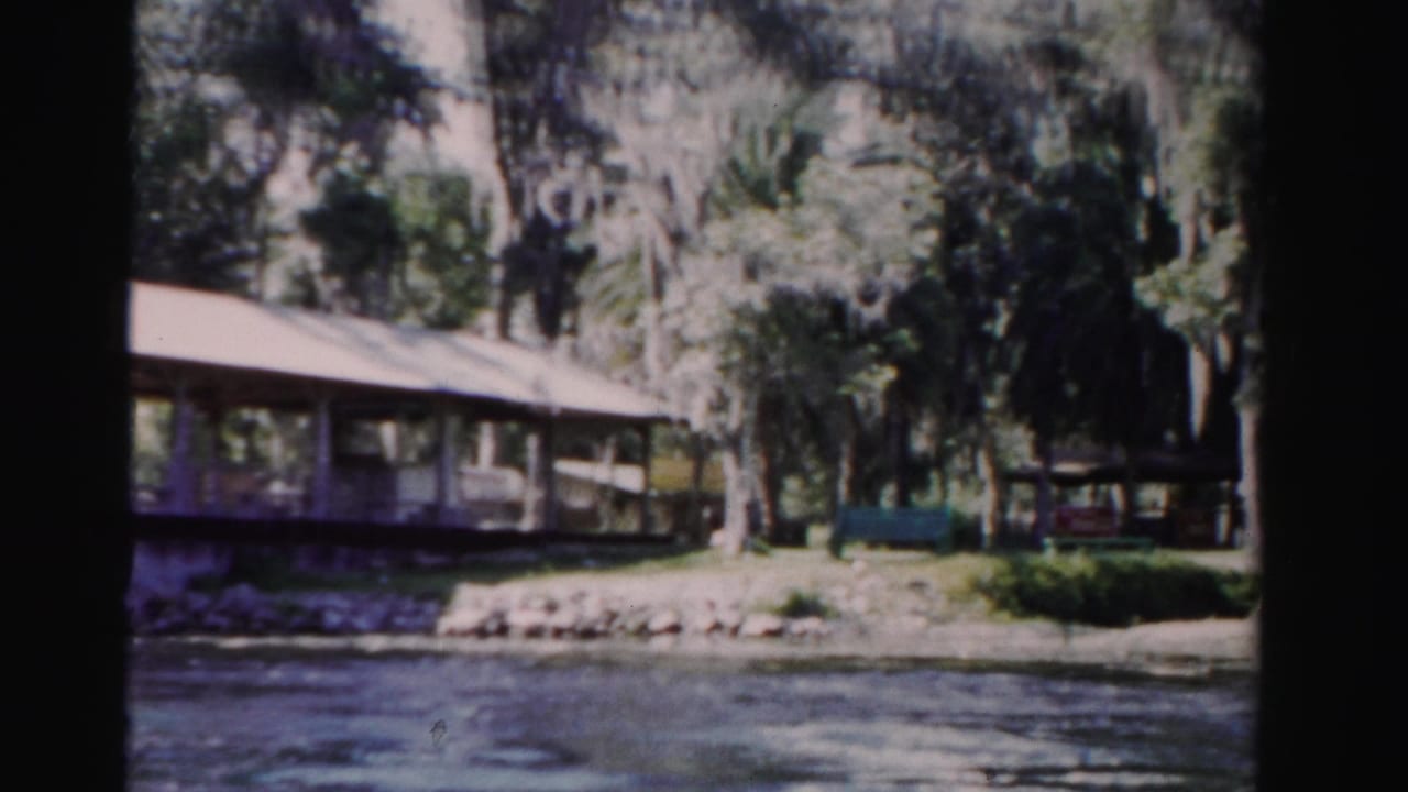 Covered wooden deck beside calm water, surrounded by palms and moss-draped trees.