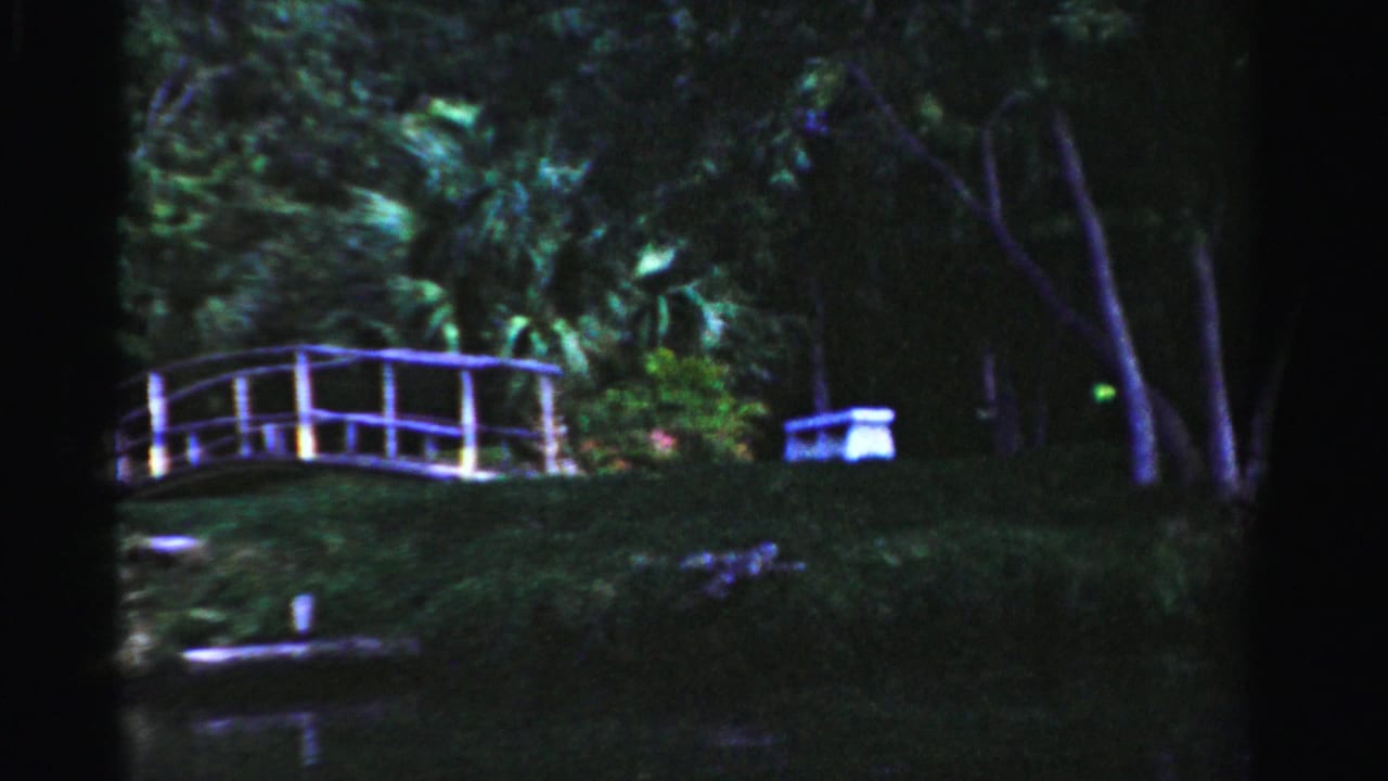 White arched bridge over a pond with dark tropical foliage behind it.