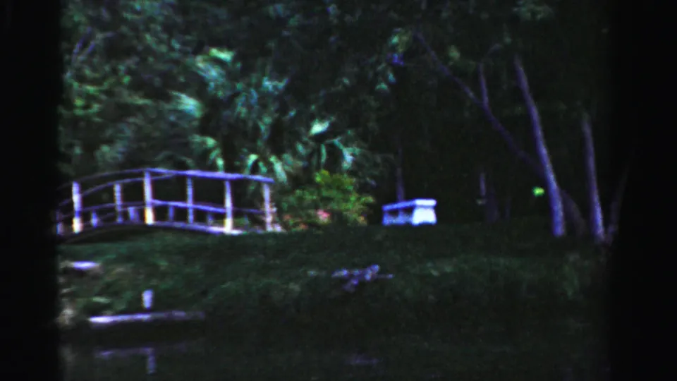 1955 Dade County home-movie frame showing a white pedestrian bridge beside a calm pond and dense greenery.