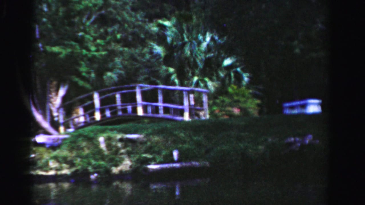 A white pedestrian bridge spans a landscaped pond area in 1950s Dade County, with palms and heavy foliage behind it.