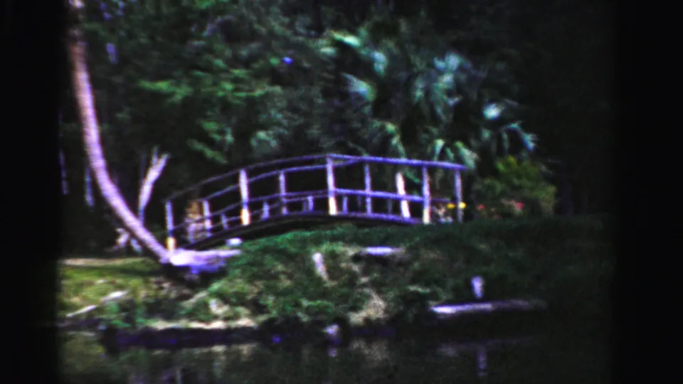 The 8mm frame shows a white arched footbridge, grassy bank, pond reflection, and palms in Dade County, Florida.
