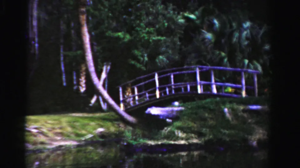 Final frame of the 1955 Dade County clip shows the white bridge near a pond, with palm trunks and dense garden growth around it.