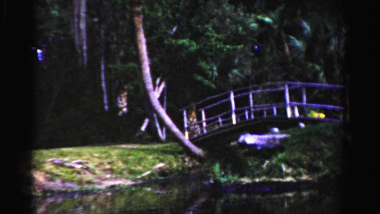 1955 Dade County 8mm frame showing a small arched bridge over water in a tropical landscaped area.