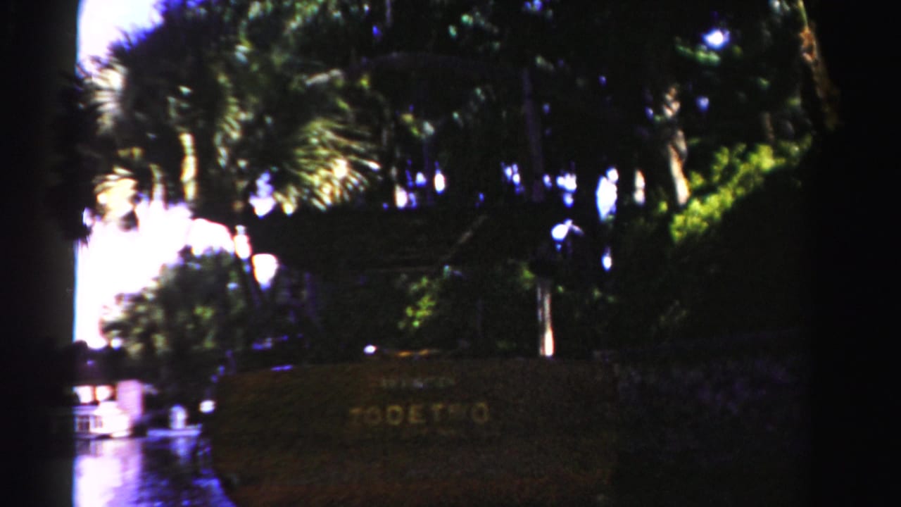 Brown sign with gold lettering beside palms and wet pavement.