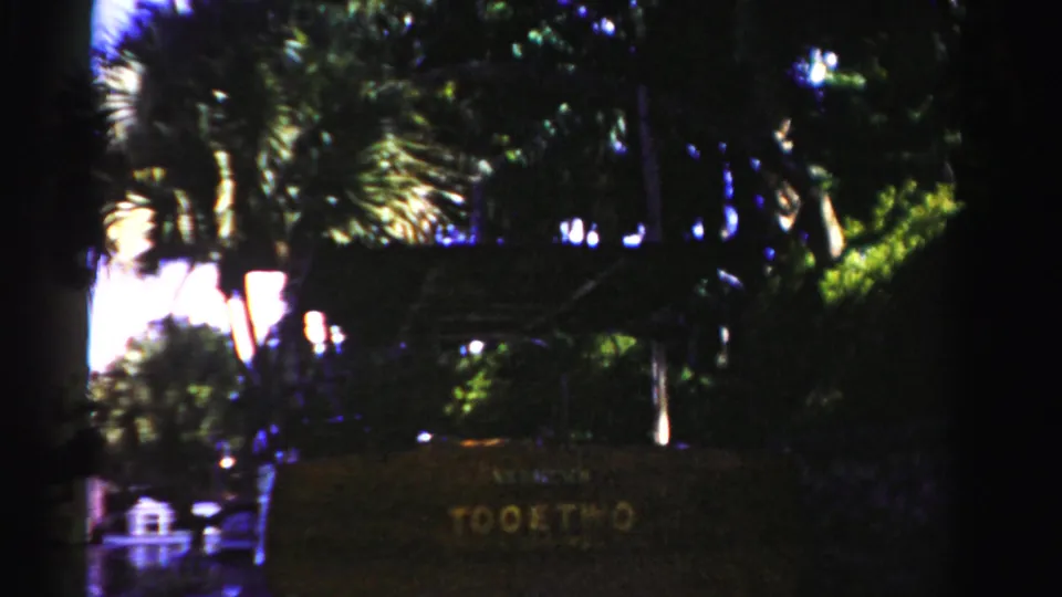 1955 Dade County 8mm frame showing a brown sign below palm trees, with dark foliage and wet ground nearby.