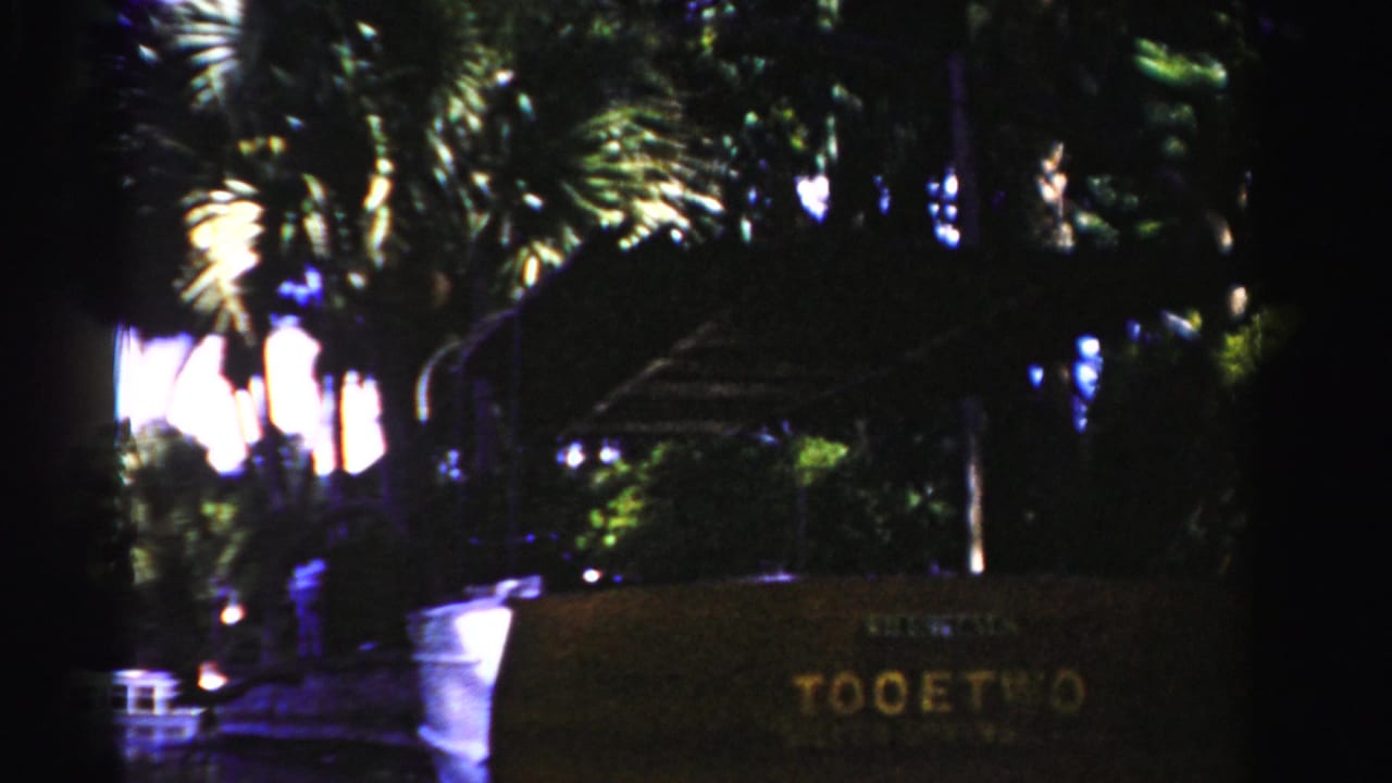 Dark waterfront scene with palm trees, a white boat, and a brown TOOETWO sign in the foreground.