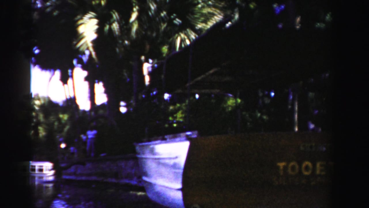 White boat beside a dock with palm trees and the brown TOOETWO sign partly visible.