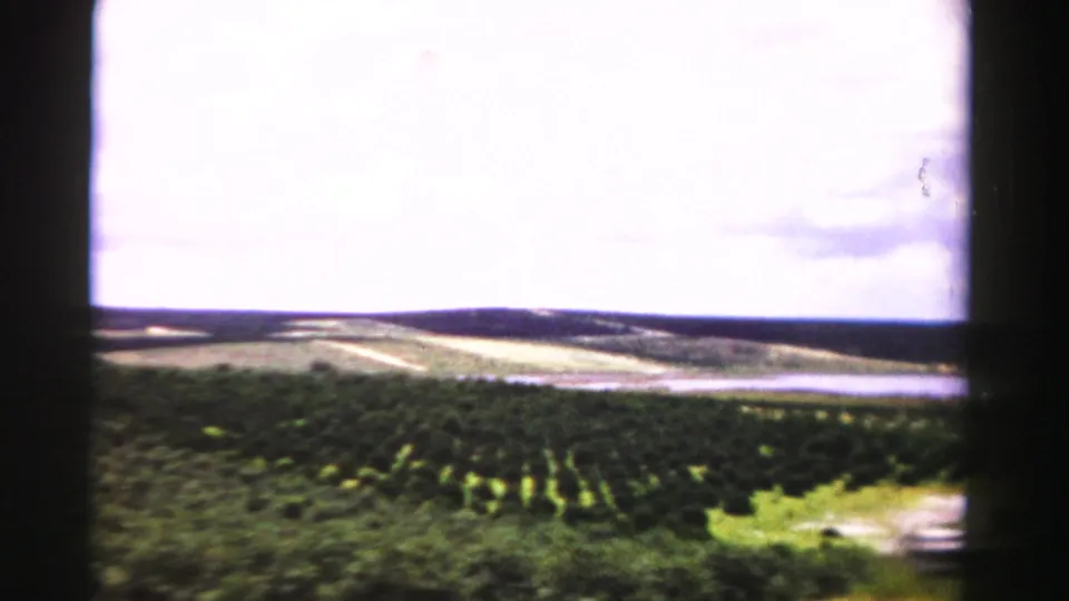 Daylight Dade County farmland view from 1955 home-movie footage, showing crop rows, a road, distant water or horizon, and overexposed sky.