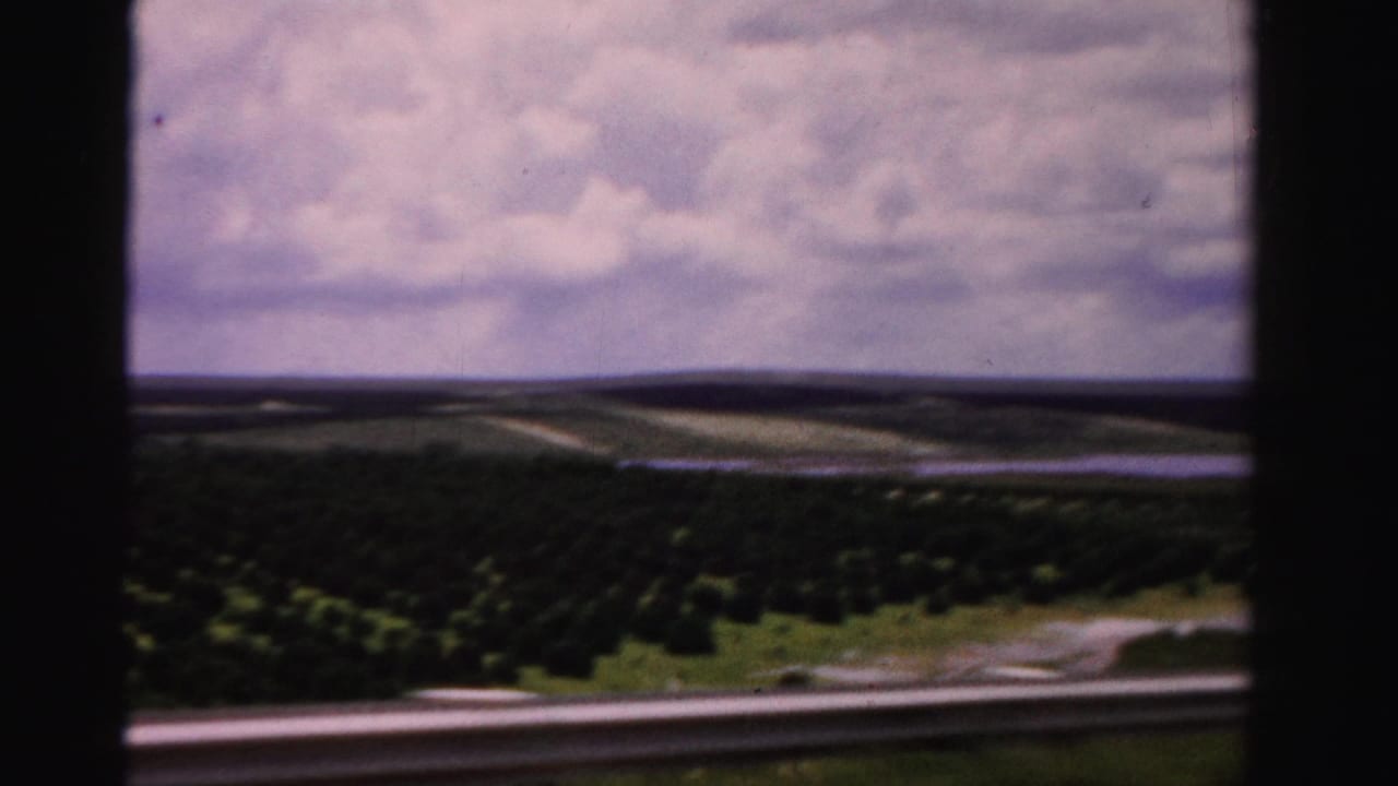 Rows of trees and low farmland seen beyond a roadside guardrail under a cloudy sky.