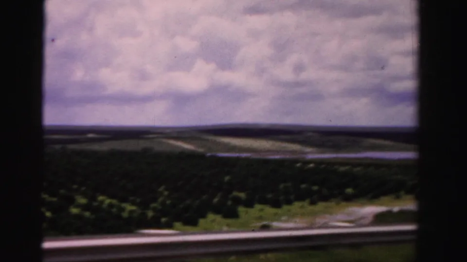 1955 Dade County roadside view from a moving vehicle, showing ordered tree rows, open land, a guardrail, and clouds.