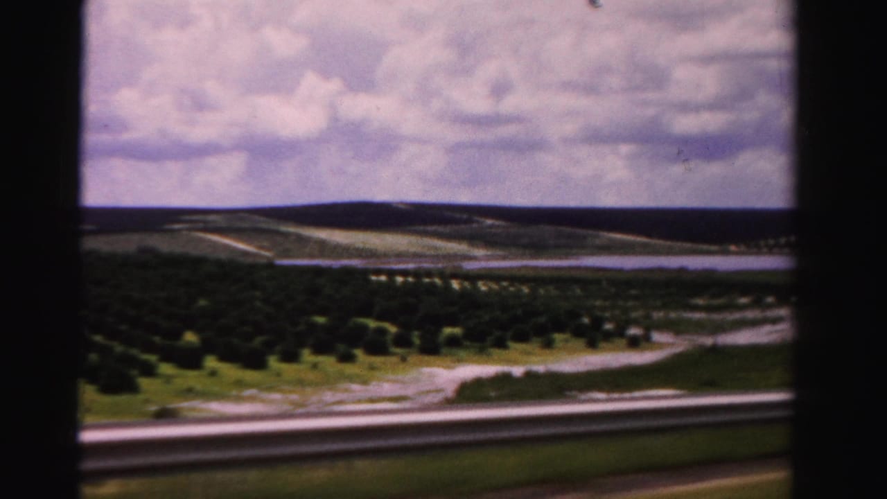 Rural landscape with tree rows, a pale road or track, guardrail, and cloudy sky.