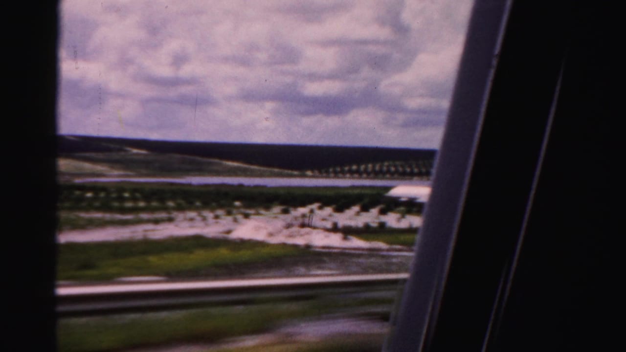 Roadside view of planted tree rows, pale ground, water, cloudy sky, and dark car-window framing.