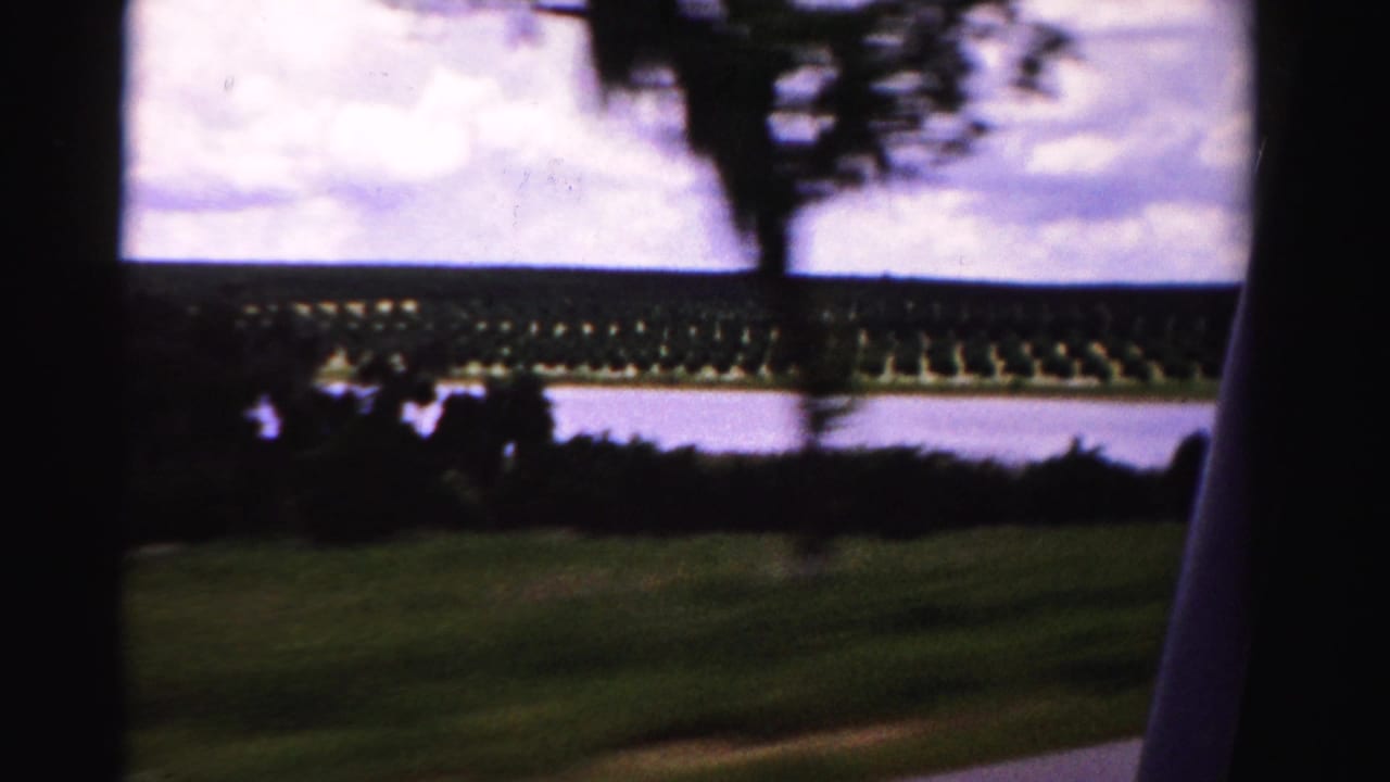 Rows of trees across water seen through a moving car window.