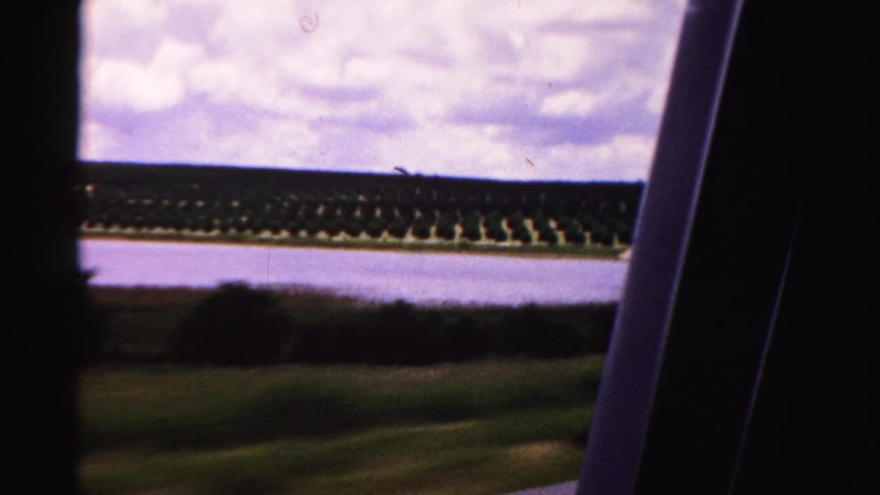 Waterfront tree rows and grassy land viewed past car-window pillars.