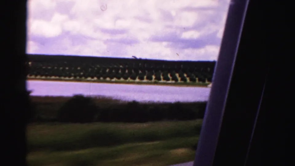 Car-window view of a calm waterfront and organized tree rows in Dade County, Florida, 1955.