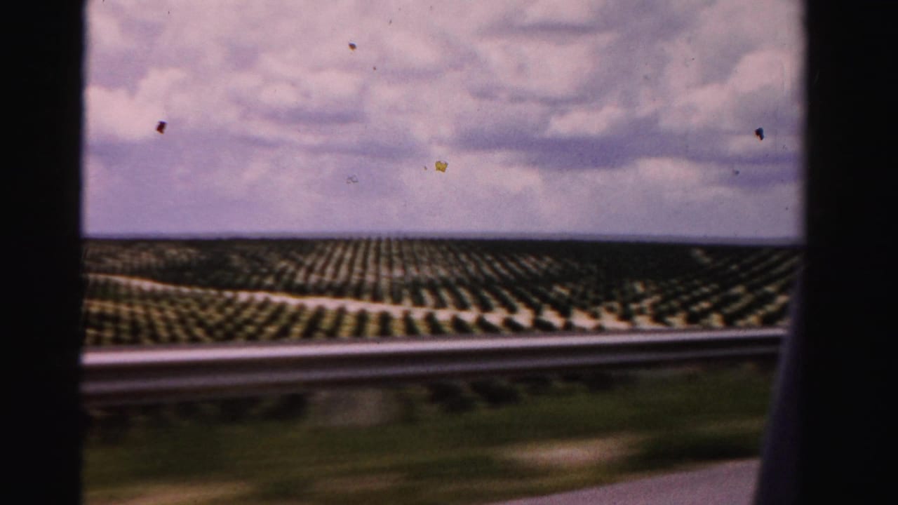 Agricultural rows beyond a roadside guardrail under a cloudy sky.