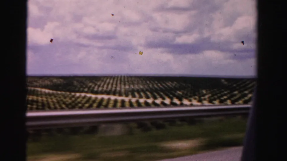 1955 Dade County road view showing planted field rows beyond a guardrail, seen through dark 8mm frame edges.