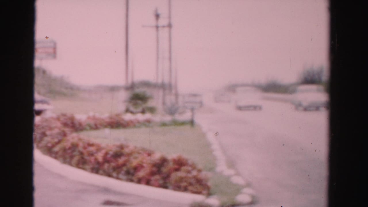 Road curve with hedges, utility poles, roadside signs, and distant cars.