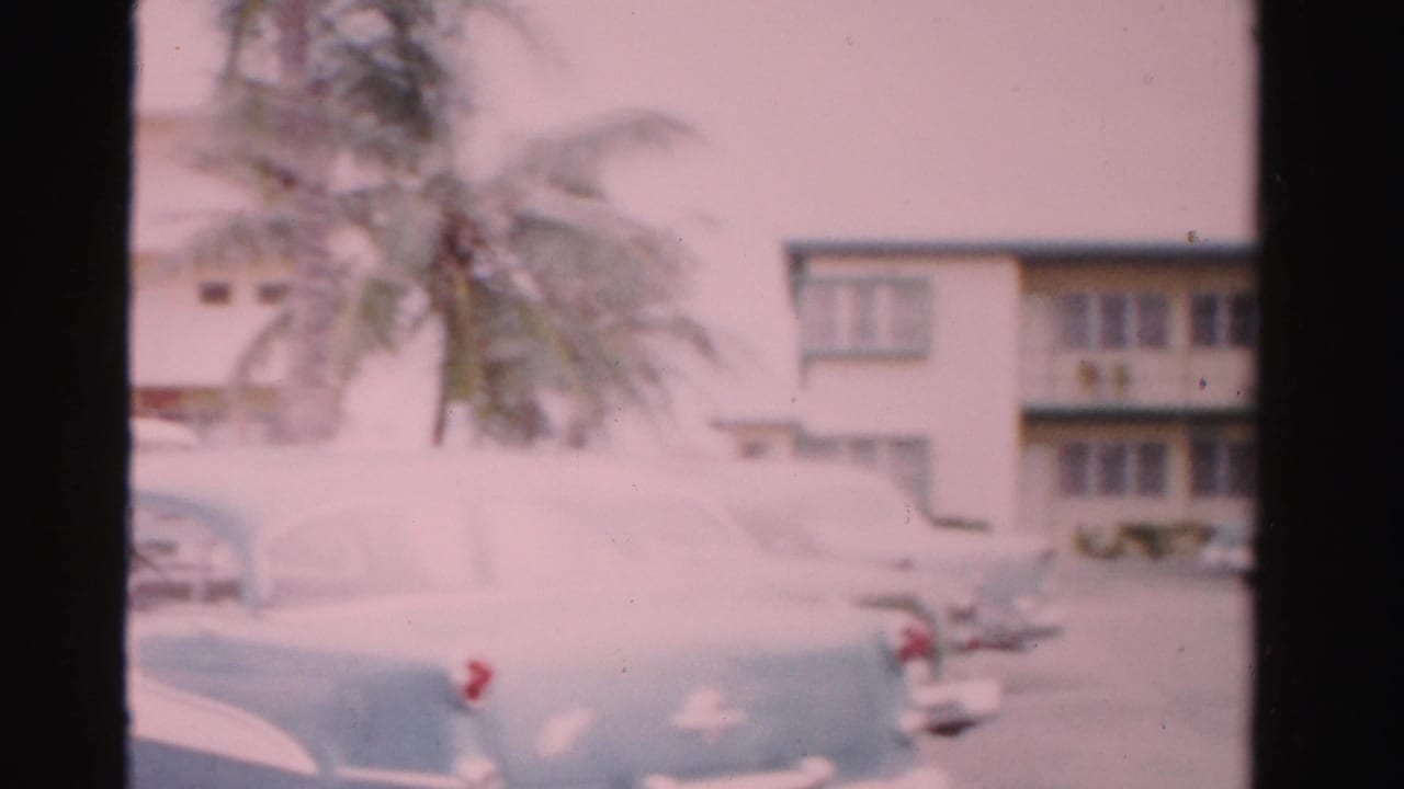 Soft 8mm frame from 1955 Dade County showing a tropical parking area with classic cars and palm-lined lodging.