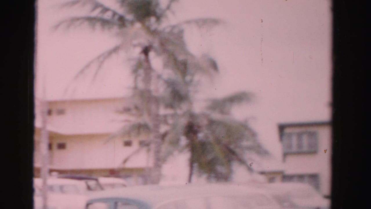 1955 Dade County exterior view with a white building, palm tree, and parked mid-century cars in soft 8mm color.