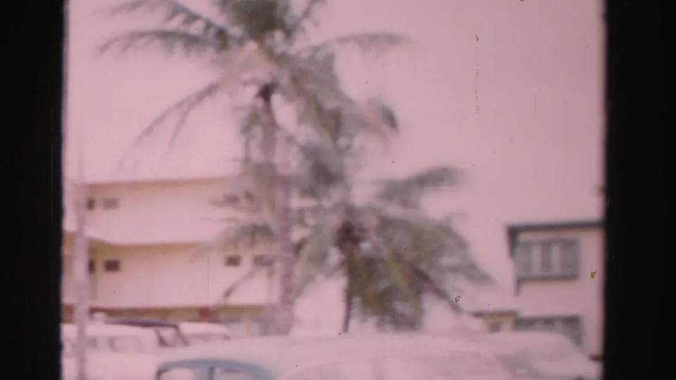 1955 Dade County exterior view with a white building, palm tree, and parked mid-century cars in soft 8mm color.
