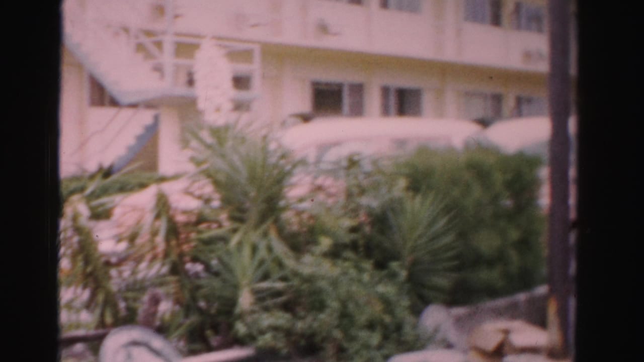 Soft-focus hotel exterior with shrubs, palm-like plants, exterior stairs, windows, and parked cars.