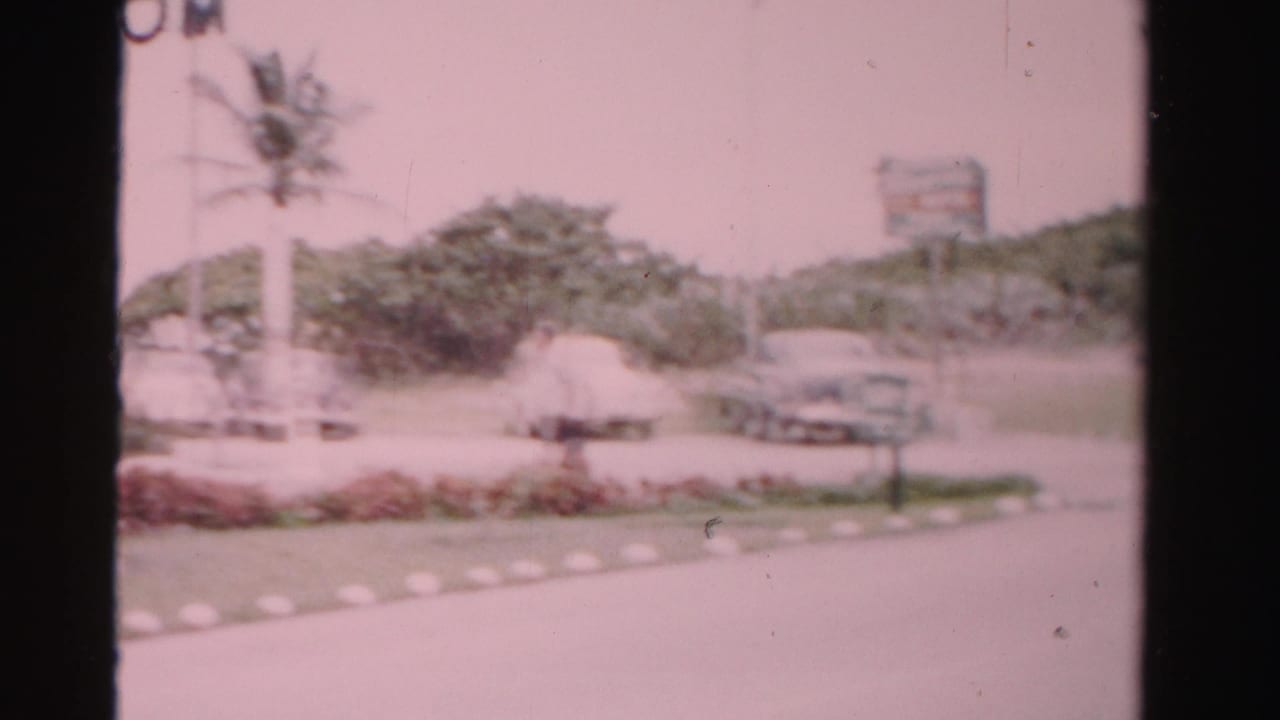 1955 Dade County street view with a palm tree, parked cars, motel grounds, and blurred roadside signage in the background.