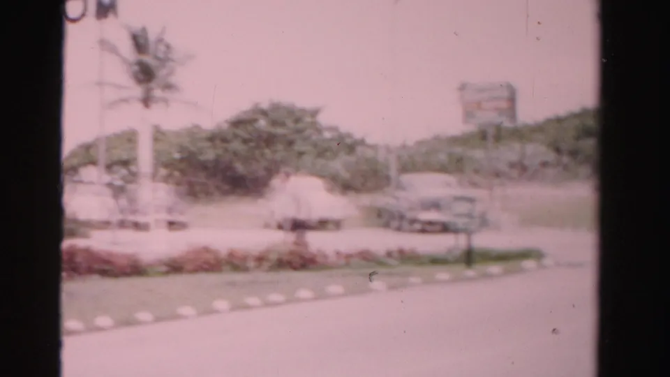 1955 Dade County street view with a palm tree, parked cars, motel grounds, and blurred roadside signage in the background.