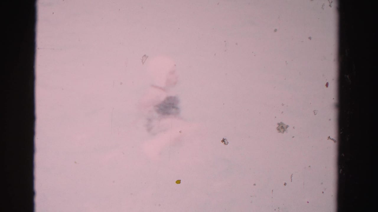 Swimmer turns in pale pool water, partly obscured by soft focus and film wear.