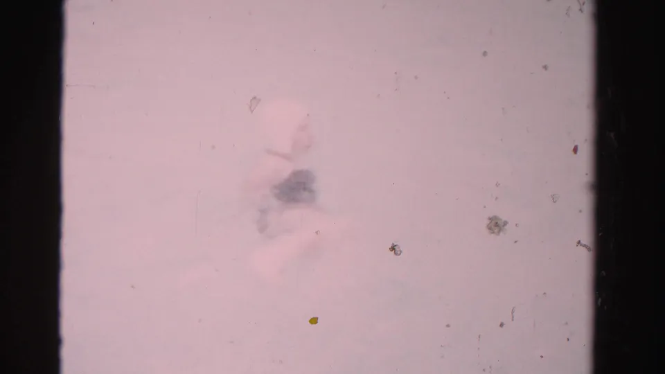 The woman appears in motion in the pool, with the dark swimsuit and light head covering softened by faded 1955 8mm color.