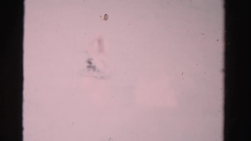 A partially submerged woman is faintly visible in the lower part of the 1955 Dade County pool scene, with heavy film grain and scratches.