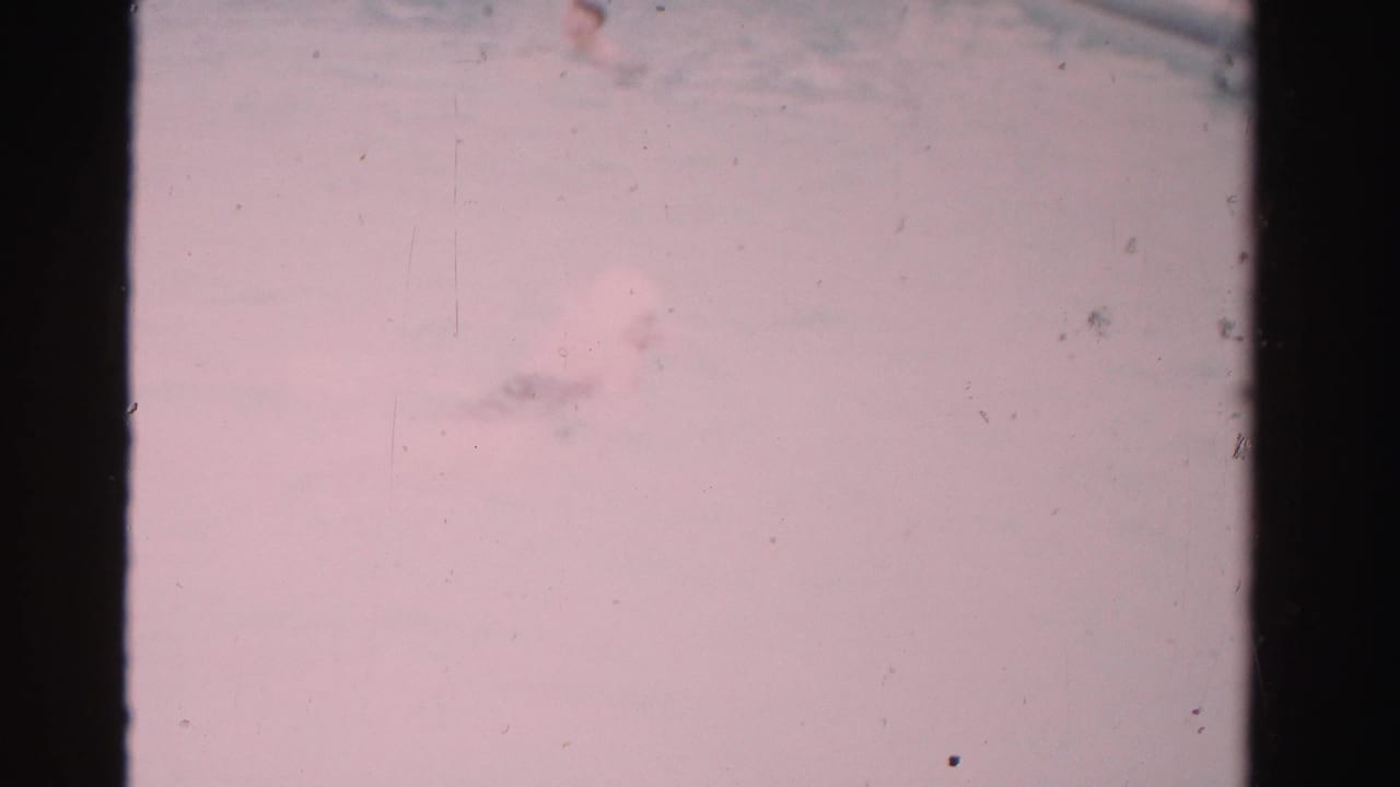 Pale pink poolside or water view framed by dark film edges, with dust and soft focus.