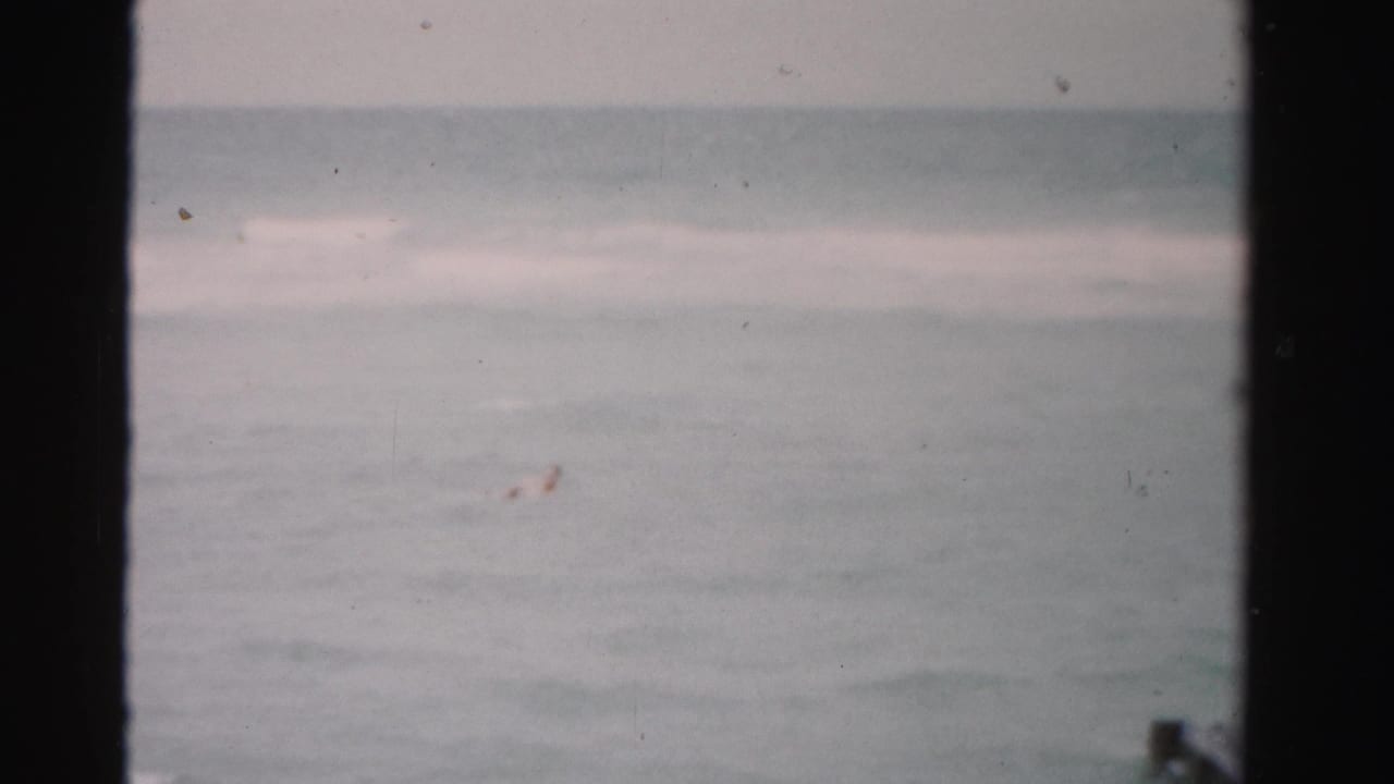 Ocean surface and horizon with dark vertical film borders.