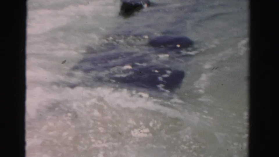 The dark object is partly hidden under foamy surf, with only sections visible through the moving water.