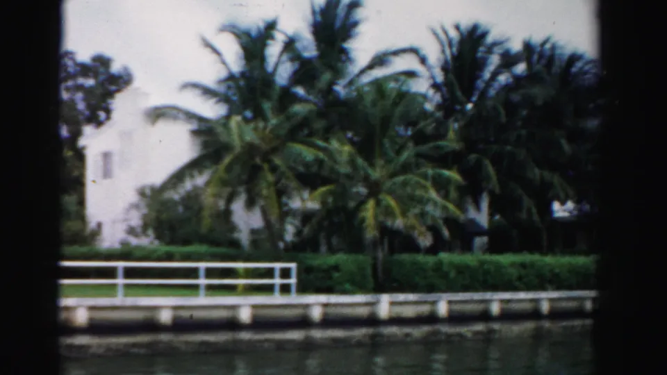 Dade County waterfront view with palms, hedges, white railing, calm canal water, and a white residential building behind landscaping.