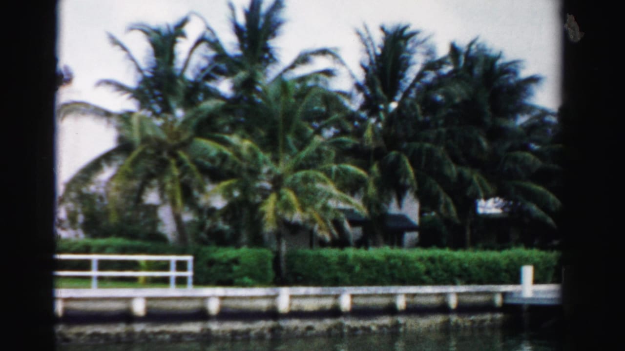 Palm trees and hedges along a canal with a white railing and seawall.
