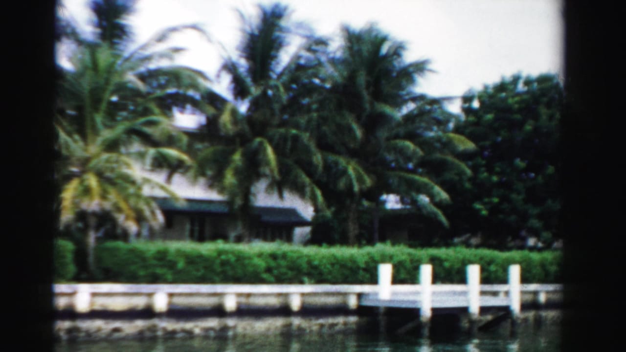 Waterfront hedge, palms, white dock posts, and houses partly visible behind trees.