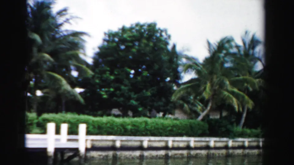Dade County waterfront scene with dock posts, a concrete seawall, hedges, palms, and residential greenery viewed from across the canal.