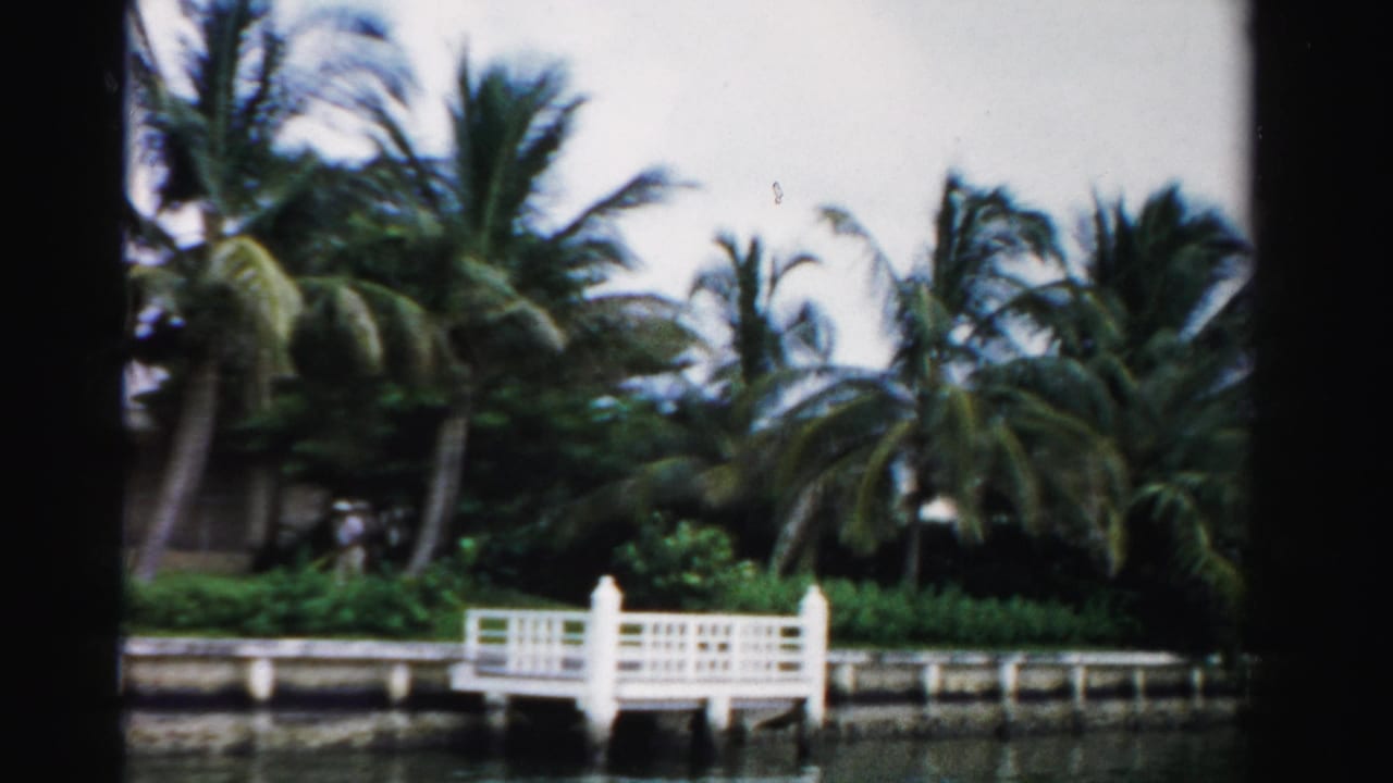 Canal-side palms and a white dock seen from across the water.