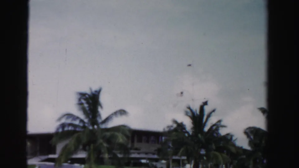 1955 Dade County frame with palms, cloudy sky, and a partially visible low house behind waterfront greenery.