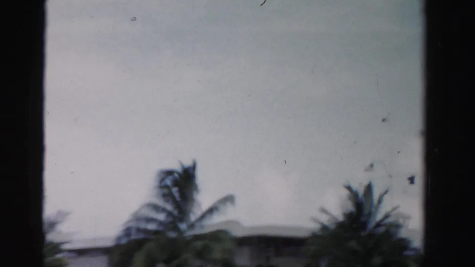 Soft 8mm frame from 1955 Dade County showing blurred palm trees, pale sky, and a low residential roofline.