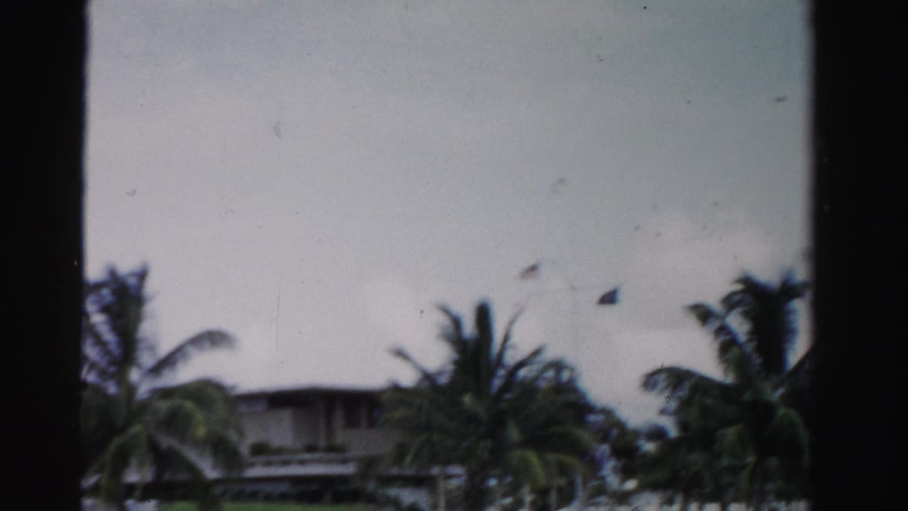 Distant waterfront house partly obscured by palm trees and dark film borders.