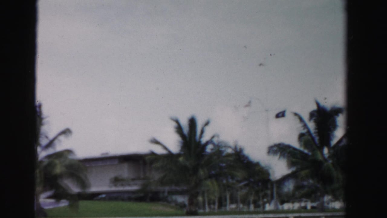 Low house and palm trees seen across a lawn with dark vertical frame edges.