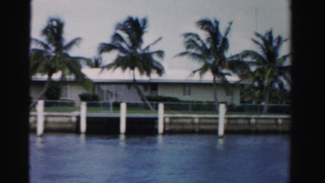 Palm trees and a low waterfront house across a canal with white dock pilings.