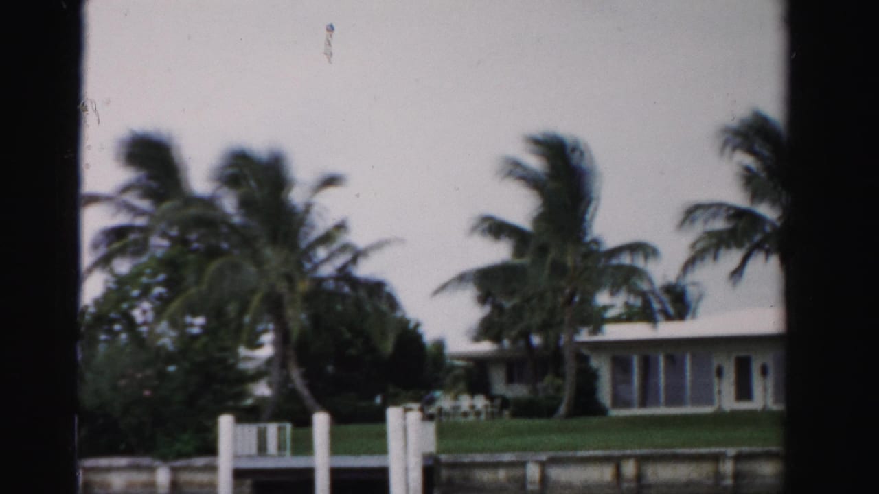 Waterfront lawn with palms, white pilings, and a single-story house across the canal.