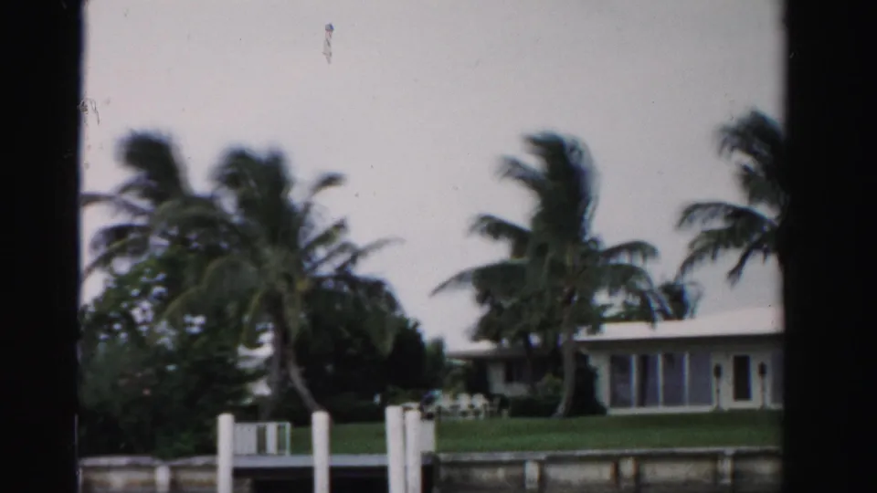 1955 Dade County 8mm frame of palm trees blowing near a low waterfront house, grassy yard, seawall, and white dock posts.