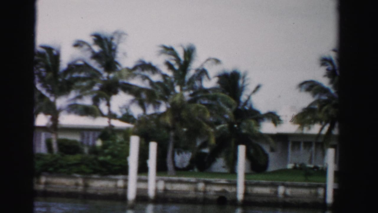 White waterfront house with palm trees and pilings along a canal.