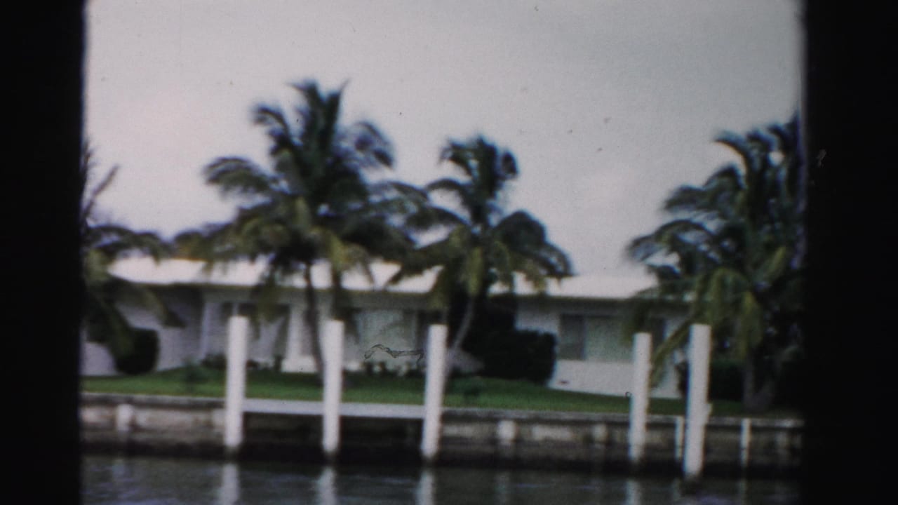 Palm trees and white pilings in front of a low waterfront house.