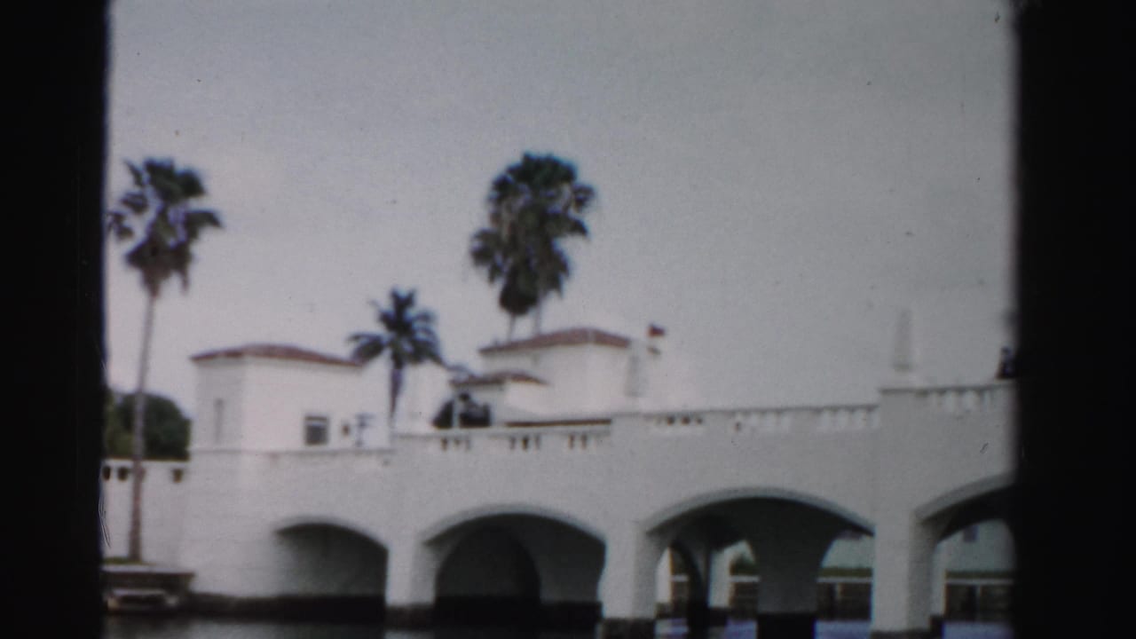White bridge arches beneath palm trees, with low waterfront buildings behind.