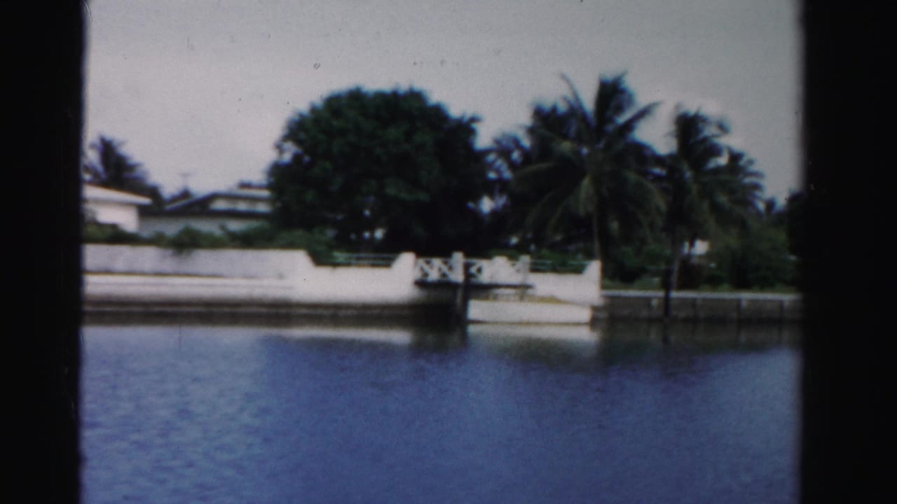 Canal water facing white shoreline walls, palms, and low homes.